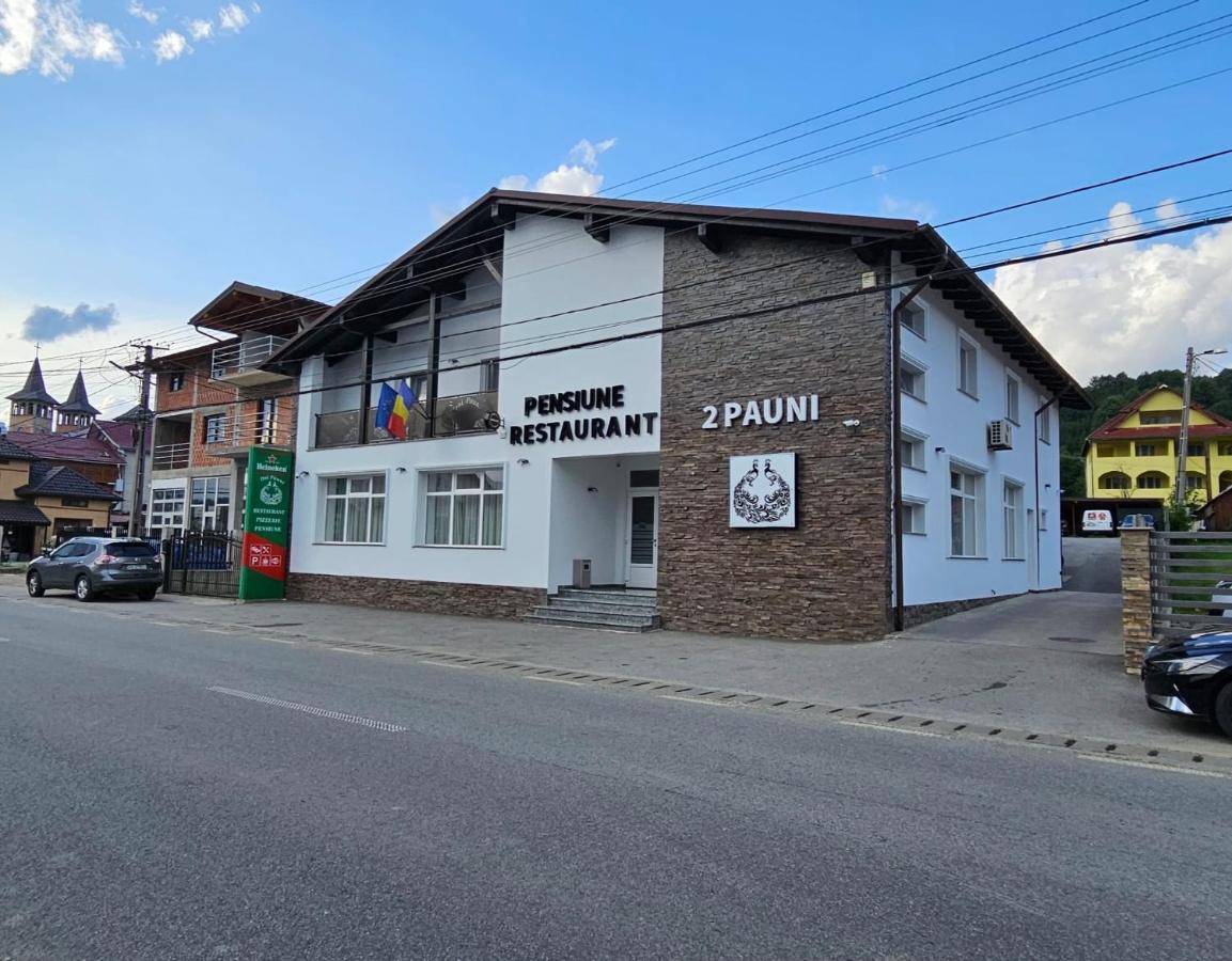 Pensiune Restaurant Pizzerie 2 Pauni Borşa Dış mekan fotoğraf